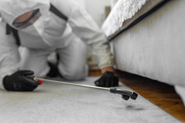 Professional Bed Bug Control technician working in Crestline, OH
