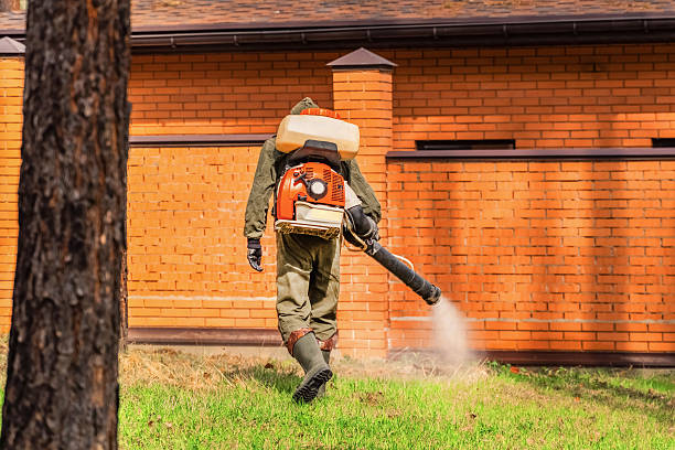 Top rated local Bed Bug Control specialists in Crestline, OH